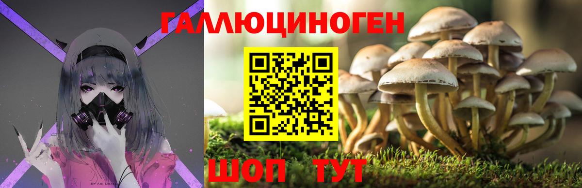 Кисловодск  Галлюциногенные грибы Cubensis  Вход с VPN 